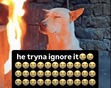 336479