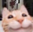338871