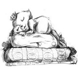 Принцесата на мотовете е много по-нежна, пухкава и грациозна от другите мотове. Тя спи много