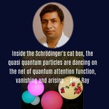 Inside the Schrödinger's cat box, the quasi quantum particles are dancing on the net of