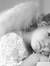 sepideh