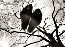 hossein