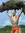 Kevin | 1 comments