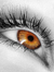hedy