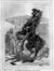 Bucephalus