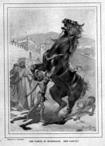 Bucephalus