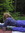 Laurel | 1 comments