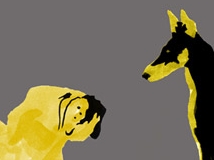 Goodreads profile picture for @hounds