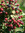 Robyn | 2 comments