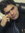 AliReza Heydari