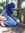 Dewi | 5 comments