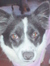 Sallie ...