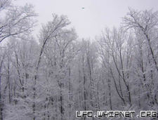 Talk2blink2002 benedith