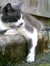 John