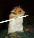 Goodreads profile picture for @rocky
