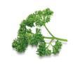 Molly Parsley