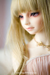 pRIncEdb_nB