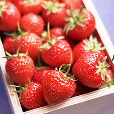 Thanawan Nanthakhwang