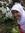Thonkqee