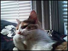 Catherine