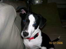 Bonnie