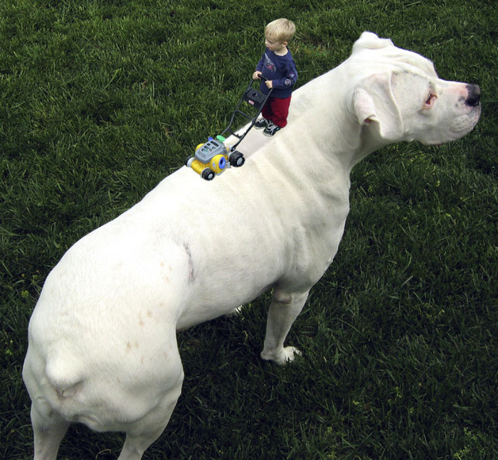 Goodreads profile picture for @carolyn