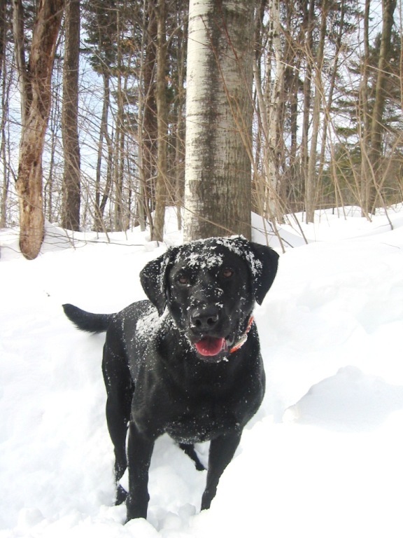 Goodreads profile picture for @margaret