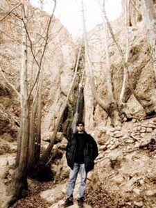 mohamadreza Armandi