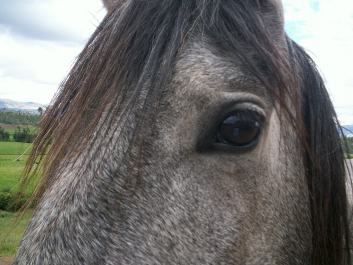 Goodreads profile picture for @mica