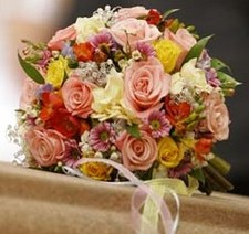 PetalLane.blogspot.com