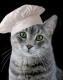 Goodreads profile picture for @moxie