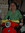 martha | 1 comments