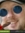 Paul
