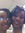 Shardae King | 1 comments