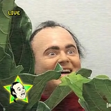 Dave