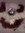 Steven