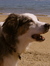 Amy