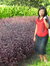 Mon kyaw