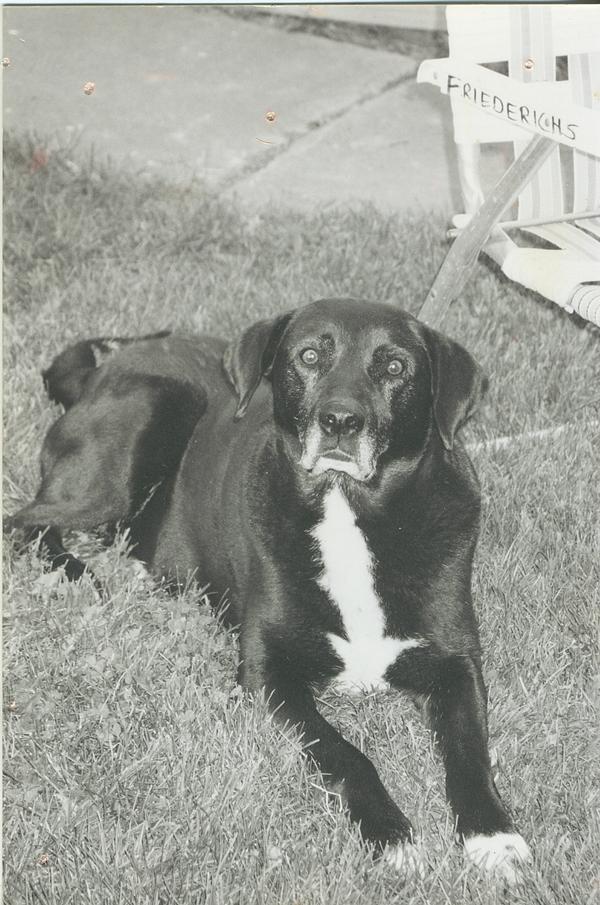 Goodreads profile picture for @lyle