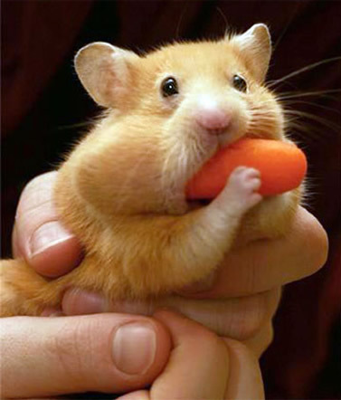 Goodreads profile picture for @bridge