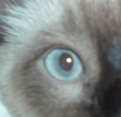 Nathan