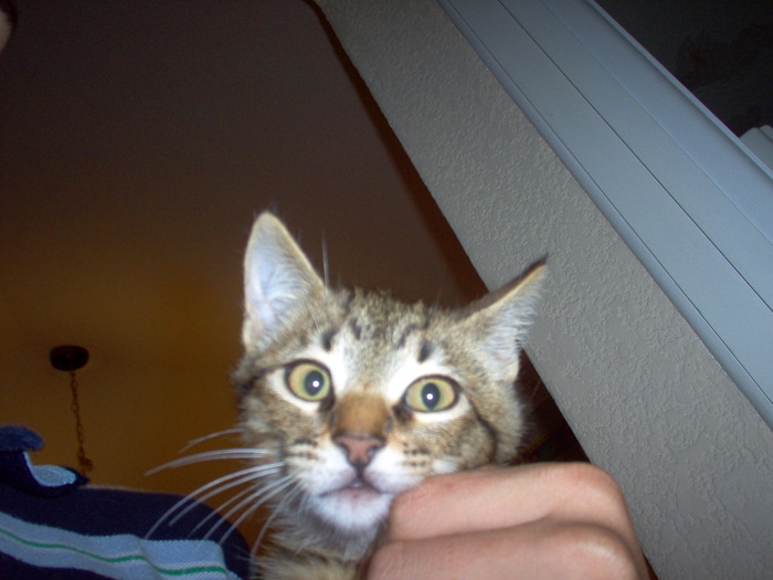 Goodreads profile picture for @andre