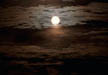 Goodreads profile picture for @talha
