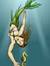 Galia