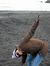 Parul