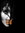 yasi | 1 comments