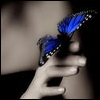 enchant