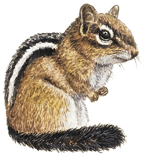 Goodreads profile picture for @scot