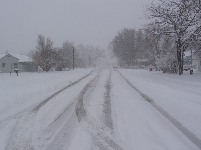 Goodreads profile picture for @shayshay