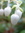 gramma (hurley-waldrip) | 4 comments